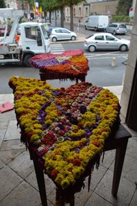 27 août 2015, DSC_9012