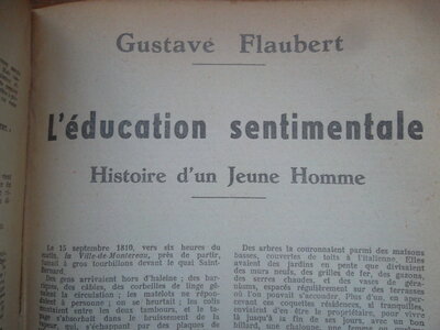 Flaubert, SAM_2586