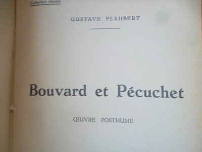 Flaubert, SAM_2587