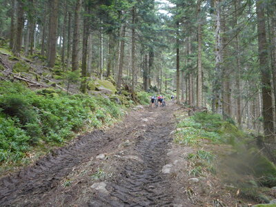 BRANDENKOPF, DSCN0314