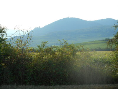ROCHE DU TETRAS, 3 chateaux Ribeauvillé