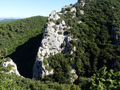 Dentelles 06-09-15, P1090966