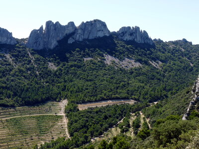 Dentelles 06-09-15, P1090980