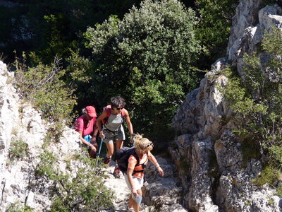 Dentelles 06-09-15, P1090983