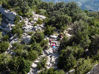 Dentelles 06-09-15, P1090984