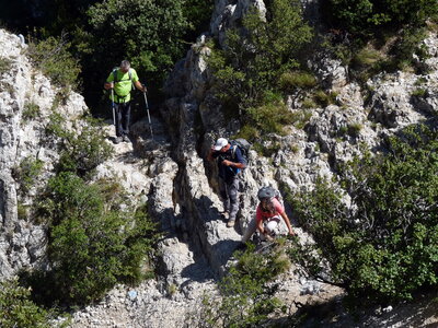 Dentelles 06-09-15, P1090985