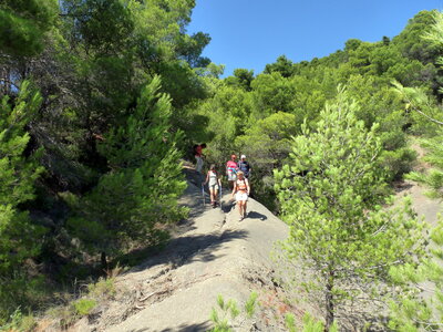 Dentelles 06-09-15, P1090992