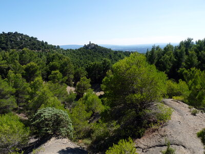 Dentelles 06-09-15, P1090993