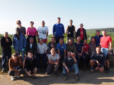 vendanges 2015 - photos d'aurélie, P9060313
