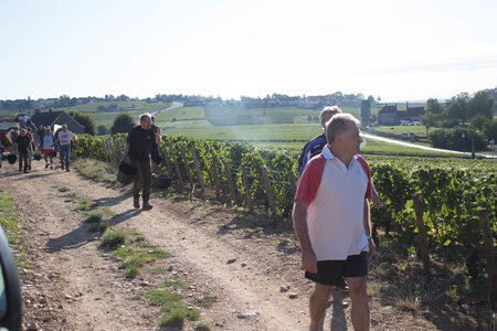 vendanges 2015 - photos de cédric, ced - vendanges 2015-2470
