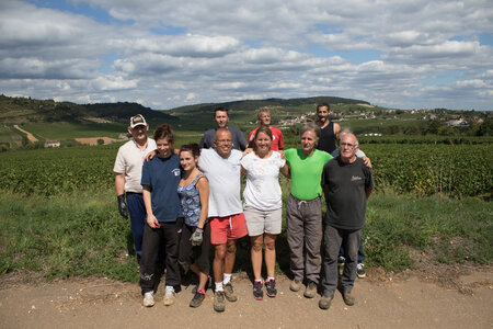 vendanges 2015 - photos de cédric, ced - vendanges 2015-2484