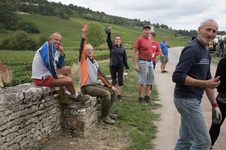 vendanges 2015 - photos de cédric, ced - vendanges 2015-2508