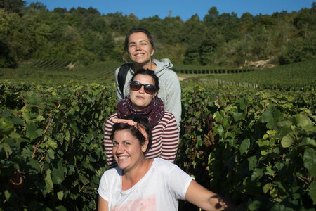 vendanges 2015 - photos de cédric, ced - vendanges 2015-2711