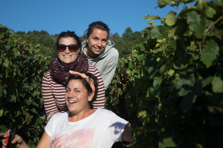 vendanges 2015 - photos de cédric, ced - vendanges 2015-2715