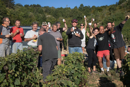 vendanges 2015 - photos de cédric, ced - vendanges 2015-2721