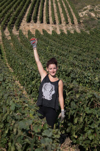 vendanges 2015 - photos de cédric, ced - vendanges 2015-2724