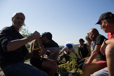 vendanges 2015 - photos de cédric, ced - vendanges 2015-2737