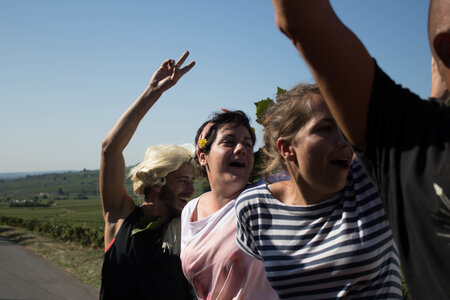 vendanges 2015 - photos de cédric, ced - vendanges 2015-2741