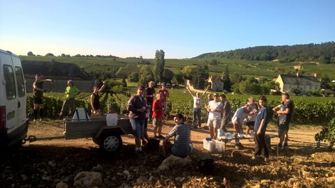 vendanges 2015 - photos de léa, WP_20150904_09_17_18_Pro