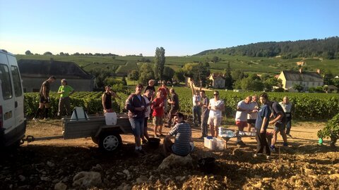 vendanges 2015 - photos de léa, WP_20150904_09_17_23_Pro