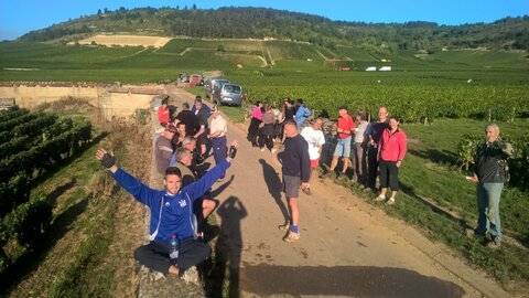 vendanges 2015 - photos de léa, WP_20150906_08_55_29_Pro
