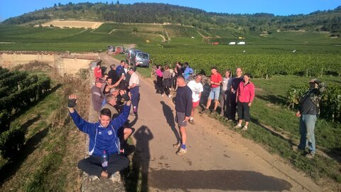 vendanges 2015 - photos de léa, WP_20150906_08_55_31_Pro