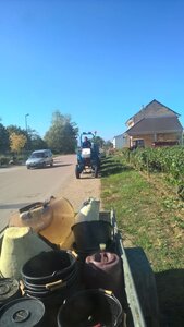 vendanges 2015 - photos de léa, WP_20150908_10_44_37_Pro