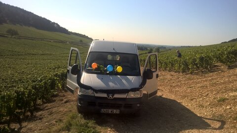 vendanges 2015 - photos de léa, WP_20150909_10_41_45_Pro