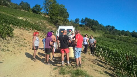 vendanges 2015 - photos de léa, WP_20150909_10_44_34_Pro