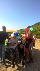 vendanges 2015 - photos de léa, WP_20150909_10_48_09_Pro