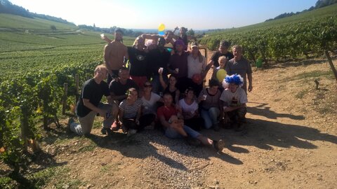 vendanges 2015 - photos de léa, WP_20150909_10_49_45_Pro