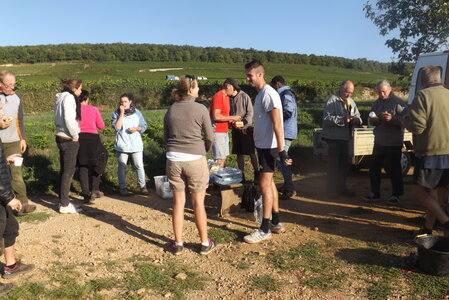 vendanges 2015 - photos de michel, DSCF0452