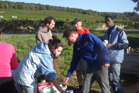 vendanges 2015 - photos de michel, DSCF0453