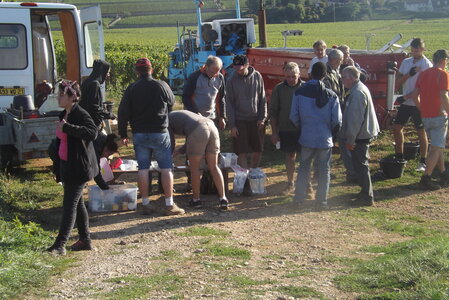 vendanges 2015 - photos de michel, DSCF0454