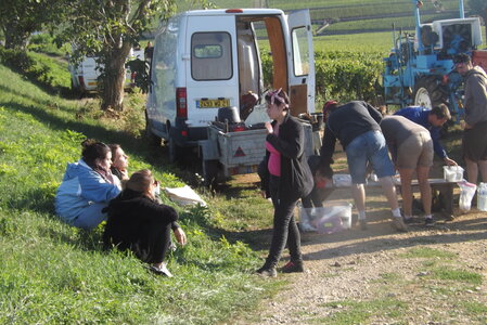 vendanges 2015 - photos de michel, DSCF0455