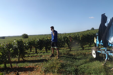 vendanges 2015 - photos de michel, DSCF0458