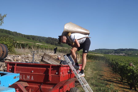 vendanges 2015 - photos de michel, DSCF0459