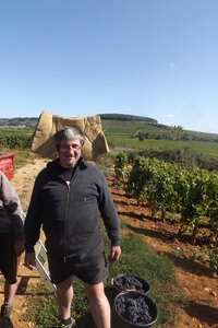 vendanges 2015 - photos de michel, DSCF0464