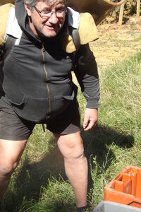 vendanges 2015 - photos de michel, DSCF0469