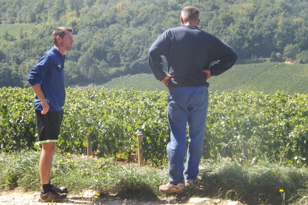 vendanges 2015 - photos de michel, DSCF0480
