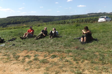 vendanges 2015 - photos de michel, DSCF0485