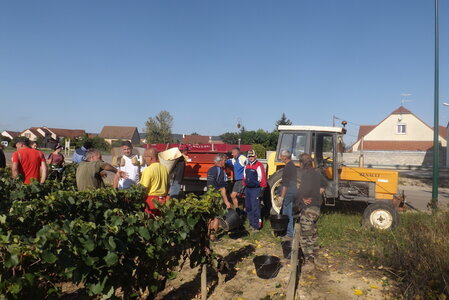 vendanges 2015 - photos de michel, DSCF0491