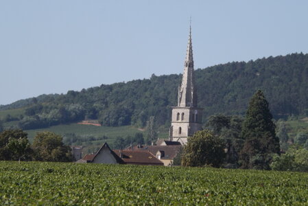 vendanges 2015 - photos de michel, DSCF0493