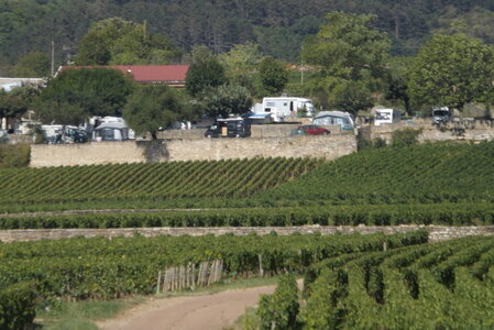 vendanges 2015 - photos de michel, DSCF0494