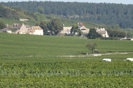 vendanges 2015 - photos de michel, DSCF0495
