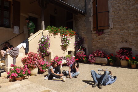 vendanges 2015 - photos de michel, DSCF0496