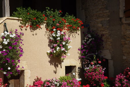 vendanges 2015 - photos de michel, DSCF0498