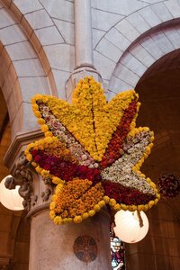 décors 2015, St Fiacre 2015-101