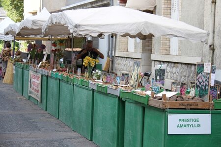 marché2015, IMG_0400