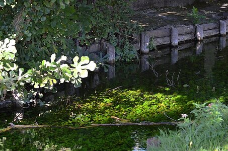 15-Facettes de Valence, Canal de la Marquise 03